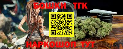 тгк Можга