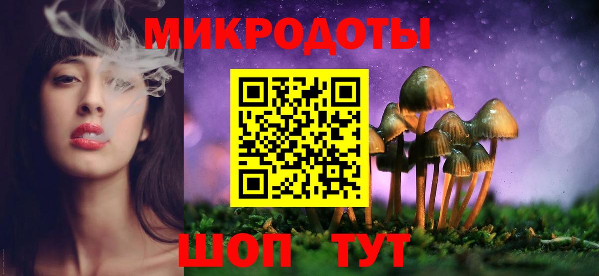 Галлюциногенные грибы Psilocybine cubensis  Вход с VPN  Вичуга 