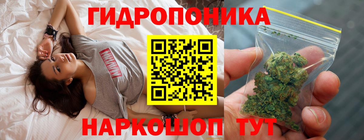 Каннабис ГИДРОПОН Вичуга